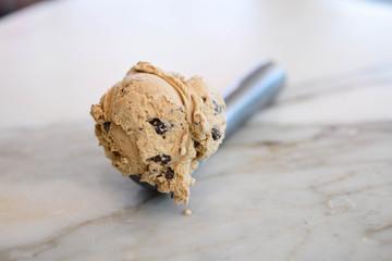 Chocolate Chip Ice Cream