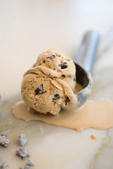Chocolate Chip Ice Cream