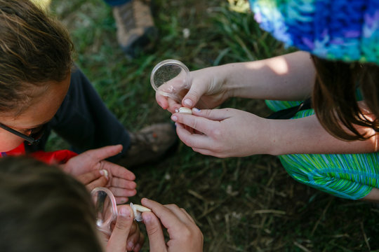 Kids Inspect Seeds During A Field Trip To A Local Farm.