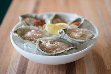 oyster