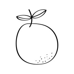 orange fresh fruit drawing icon vector illustration design