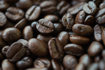 roasted coffee beans  background selectived focus on center