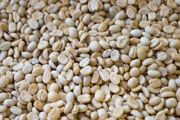 parchment coffee background