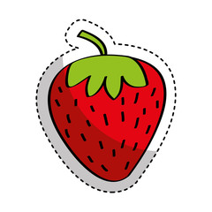 strawberry fresh fruit drawing icon vector illustration design