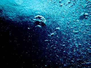 Diver Bubbles In The Deep Ocean