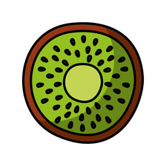 kiwi fresh fruit drawing icon vector illustration design