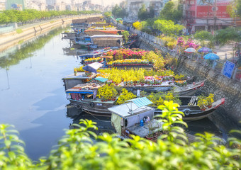 Ho Chi Minh City, Vietnam - January 26, 2017: Flowers boats at flower market on along canal wharf. This is place where farmers sell apricot blossom and other flowers on Lunar New Year in Vietnam