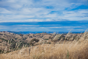 Undulating hills