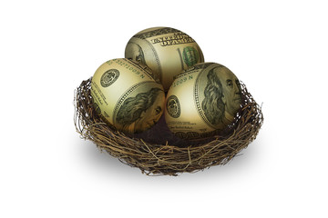 Egg shaped money in nest on white background