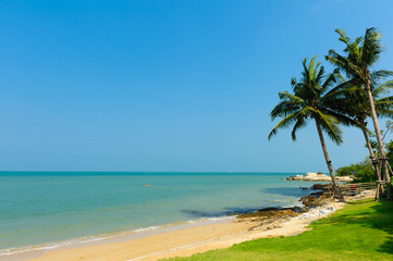 Fototapeta premium beach with palm tree leaves