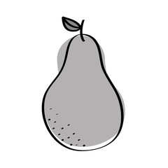 pear fresh fruit drawing icon vector illustration design
