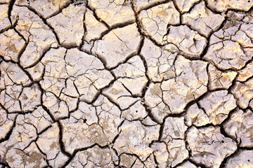 crack dry background, concept drought