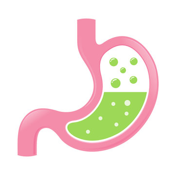 Stomach Icon With Acid And Bubbles