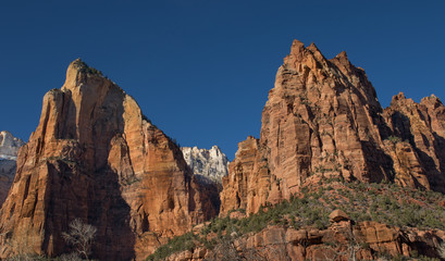 Fototapeta na wymiar Zion National Park Mountain Peaks