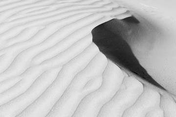 Abstract patterns in nature