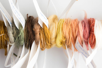 Colorful palette of wool yarn swatches hand dyed with natural mushroom and lichen pigments with tags