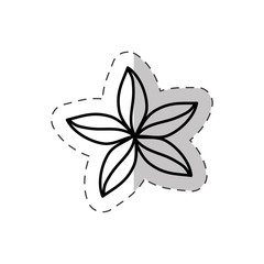 flower natural ornate cut line vector illustraiton eps 10