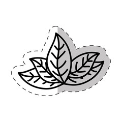 leaves plant natural cut line vector illustraiton eps 10