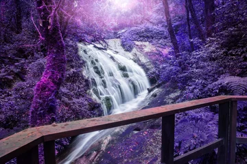 Foto op Plexiglas Natural background waterfall.  waterfall © last19