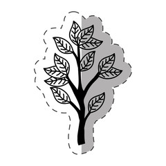 Fototapeta na wymiar tree branch ecology monochrome vector illustration eps 10