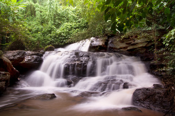 Fototapeta premium Waterfall in rainforest