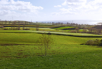 Sao Miguel island landscape in late autumn, Azores, Portugal. Meadows and fields near the ocean coast.