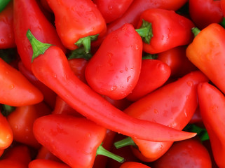 Sweet red pepper with water drops