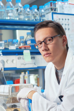 Male scientist or graduate student works in laboratory