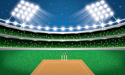 Cricket Stadium with Neon Lights. Arena.