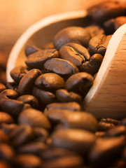 Roasted Coffee Beans Wood Scoop Close Up Copyspace.