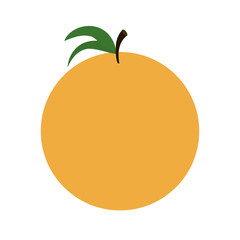 orange sweet fruit icon vector illustration eps 10