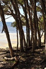 Noosa scenes