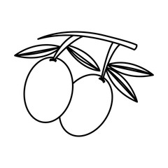 olive grain isolated icon vector illustration design
