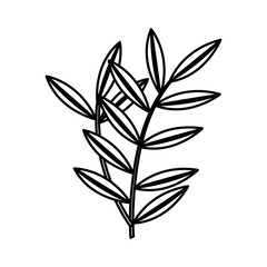 leafs plant natural icon vector illustration design