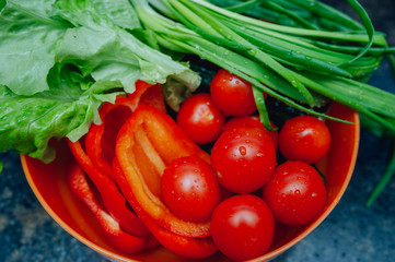 fresh tomatoes, pepper, onions and salad in a bowl