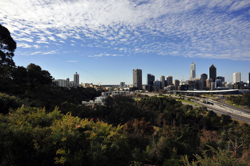 Fototapeta na wymiar Perth city view from kings park