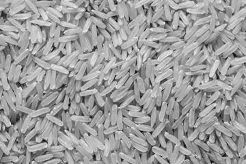 rice grain on top view in black and white tone