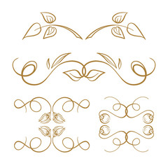 Vector calligraphy elements set.