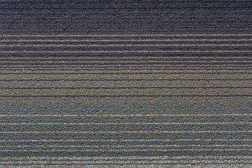 Carpet texture background