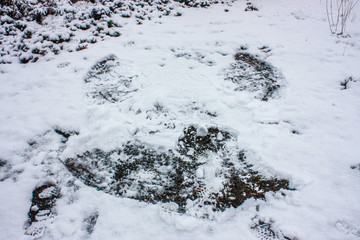 Dark angel in the snow.