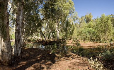 Fototapeta na wymiar Pilbara landscapes