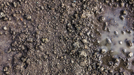 Close up wet country road in a spring