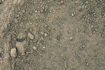 Close up wet stony soil in a spring, abstract background
