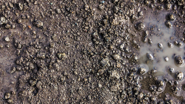 Close up wet country road in a spring