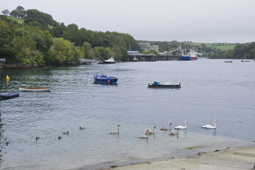 Cornwall Scenes