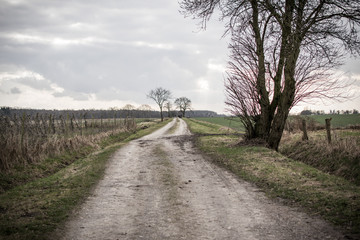 the long winter road