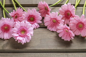 Pink gerbera flowers on wooden background