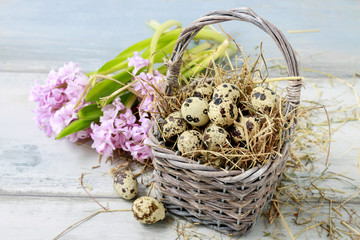 Wicker basket with quail eggs
