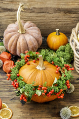 Pumpkin decorated with wreath with red berries (cotoneaster horizontalis) and green moss.