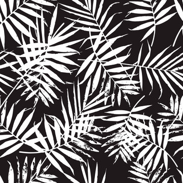 Black and white palm leaves pattern. Trendy background with palm texture.